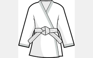 Achat groupé de kimonos Mizuno